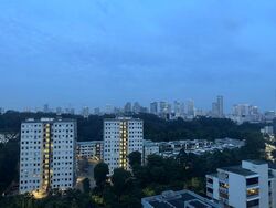 RESIDENCES AT EMERALD HILL (D9), Apartment #638756781